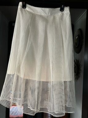Who What Wear Net Overlay Skirt